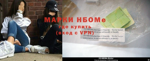 ECSTASY Богородицк