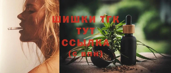 ECSTASY Богородицк