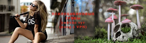 мяу мяу мука Богородск