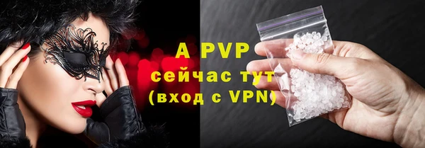 гашиш Богданович