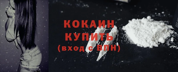 гашиш Богданович