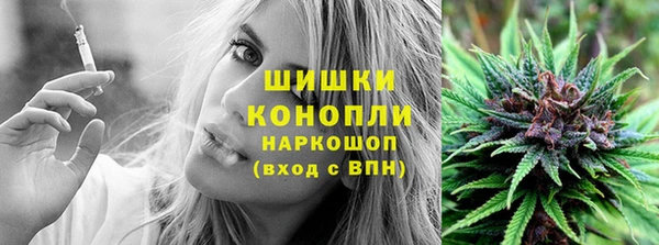 гашиш Богданович