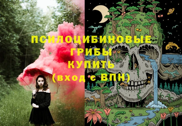 гашиш Богданович