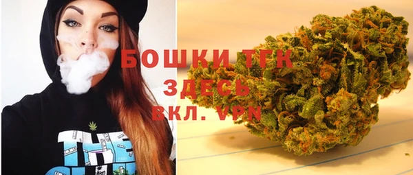 гашиш Богданович