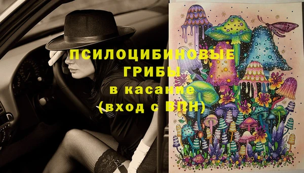 марки lsd Белокуриха