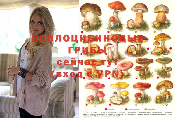 ECSTASY Богородицк