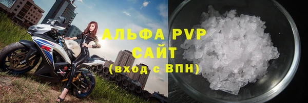 гашиш Богданович