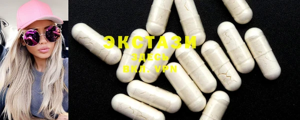ECSTASY Богородицк