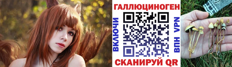 Псилоцибиновые грибы MAGIC MUSHROOMS  Курильск 